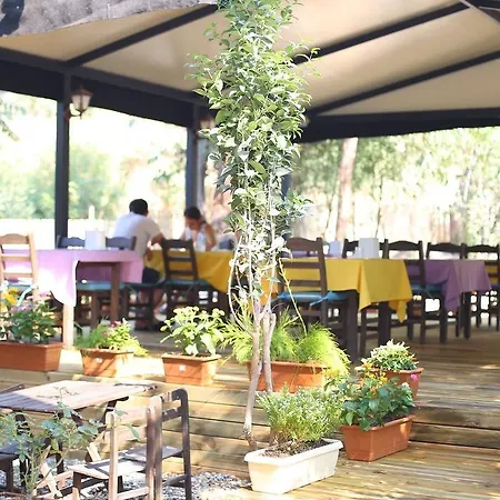 Akyaka Yali Capkini *