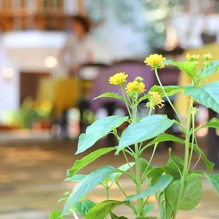 Akyaka Yali Capkini * Akyaka (Mugla)